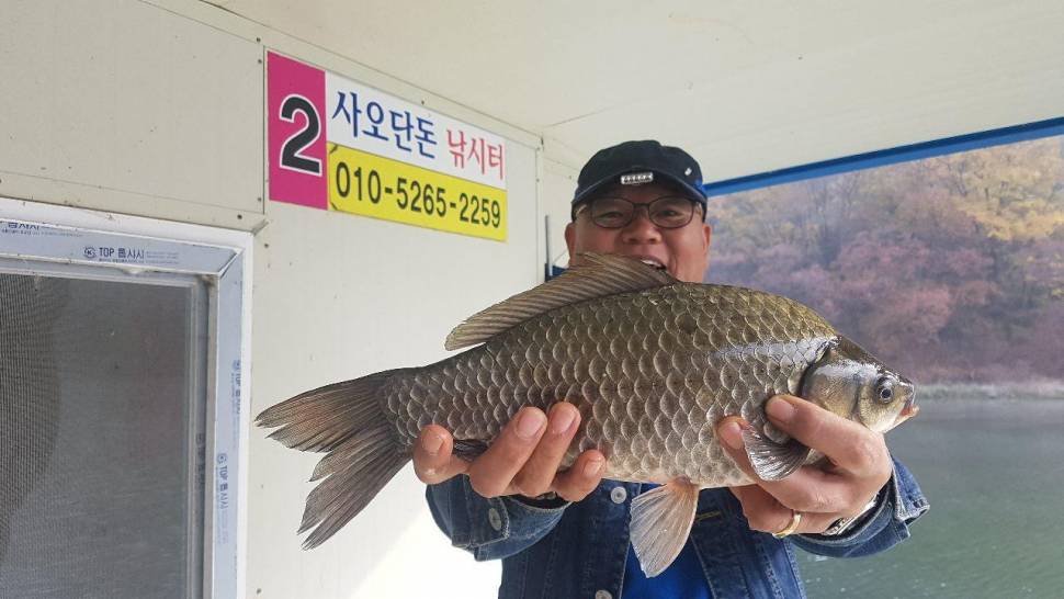 사오단돈조항소식입니다 (조황조행기 - 충주호조황속보)