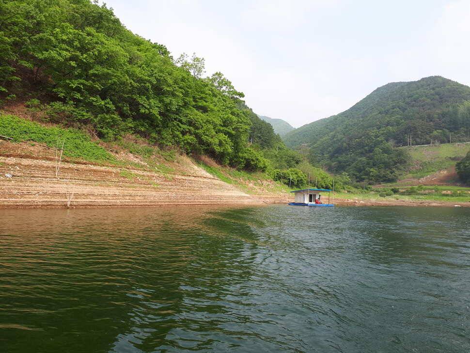 사오단돈조항소식입니다 (조황조행기 - 충주호조황속보)