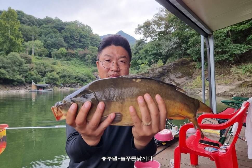 늘푸른 낚시터 조황입니다 (조황조행기 - 충주호조황속보)