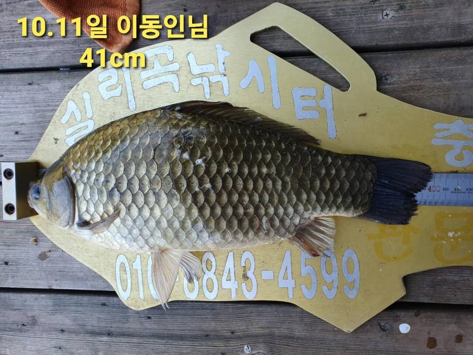 실리곡낚시터 44cm 대물 조황입니다 (조황조행기 - 충주호조황속보)