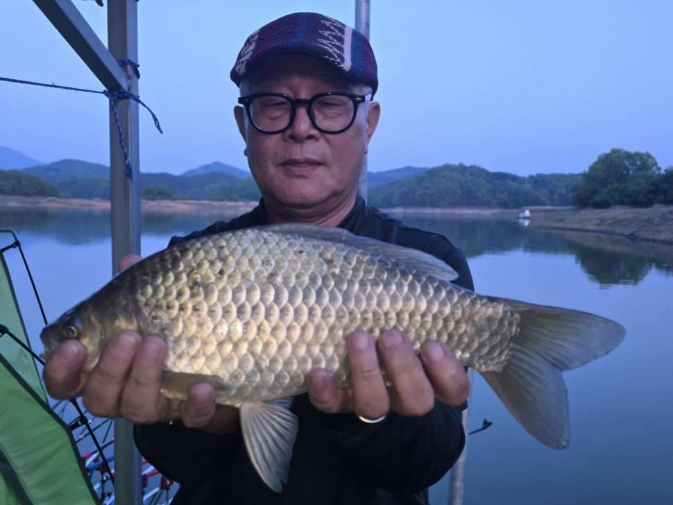 청풍 한버들 조황입니다 (조황조행기 - 충주호조황속보)