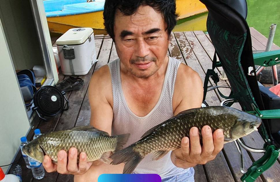 청풍신리낚시터 4짜외 허리급 조황입니다 (조황조행기 - 충주호조황속보)