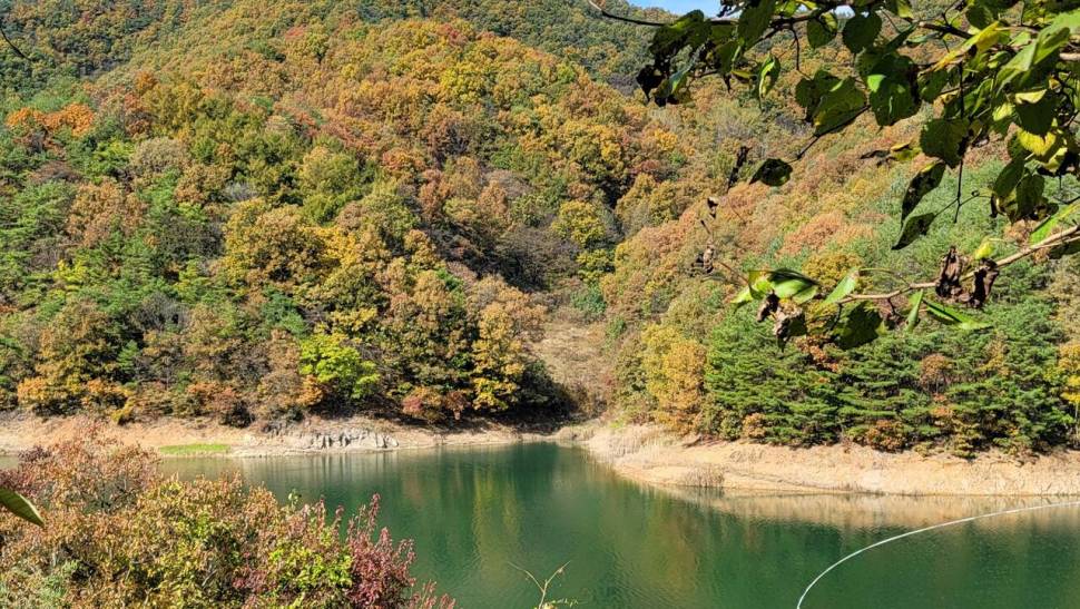 실리곡낚시터 허리급 조황입니다 (조황조행기 - 충주호조황속보)