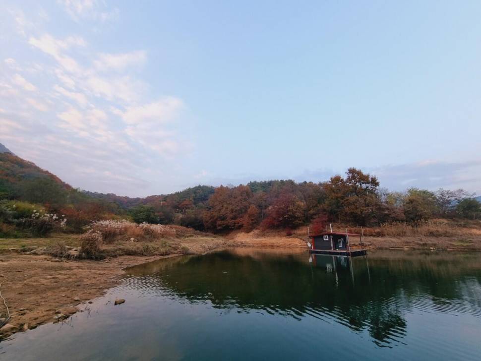 솔낚시터 사짜대물 조황소식 입니다 (조황조행기 - 충주호조황속보)