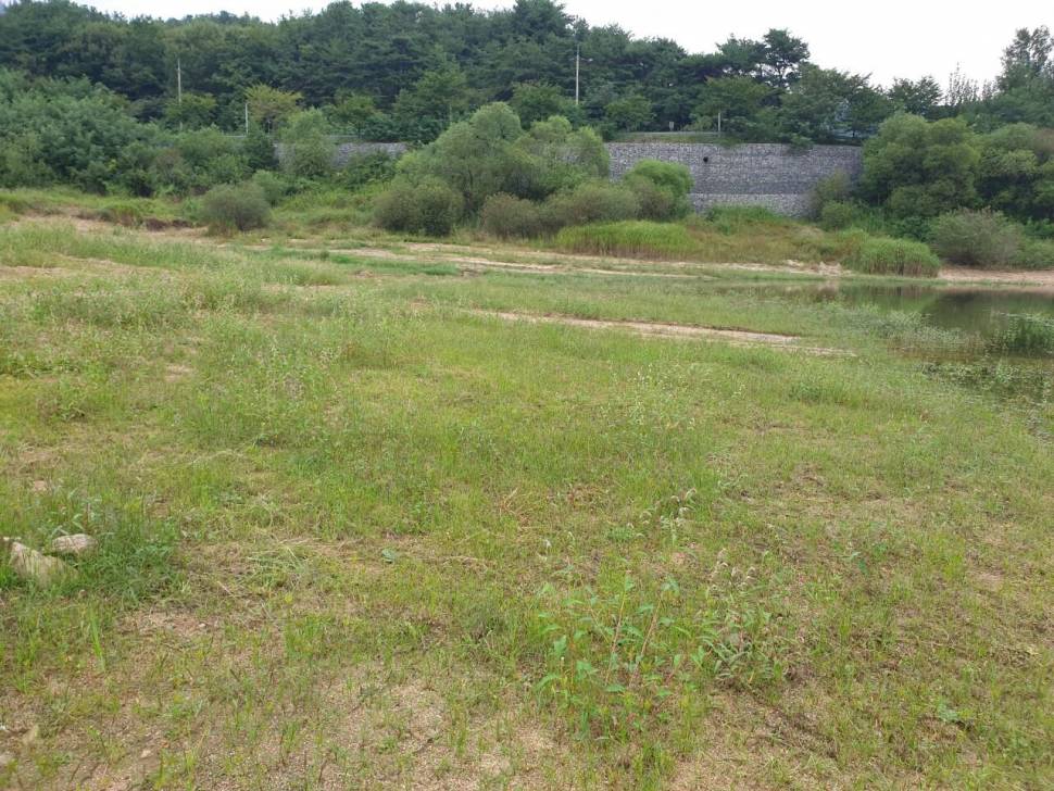 솔낚시터 조황소식 입니다 (조황조행기 - 충주호조황속보)