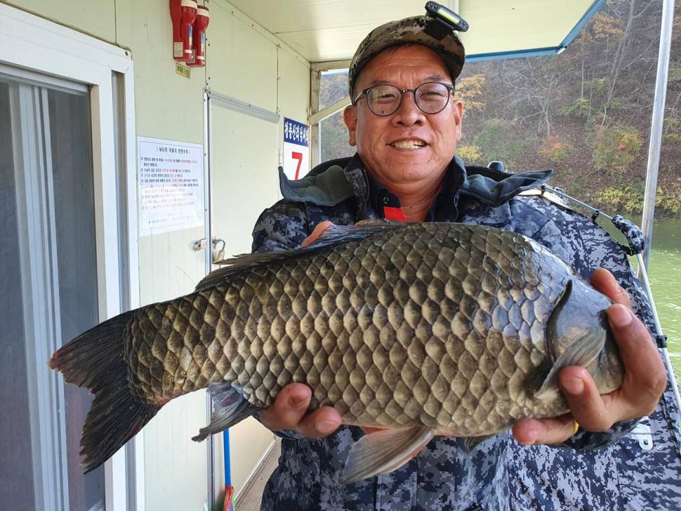 청풍신리낚시터 47cm 조황입니다 (조황조행기 - 충주호조황속보)