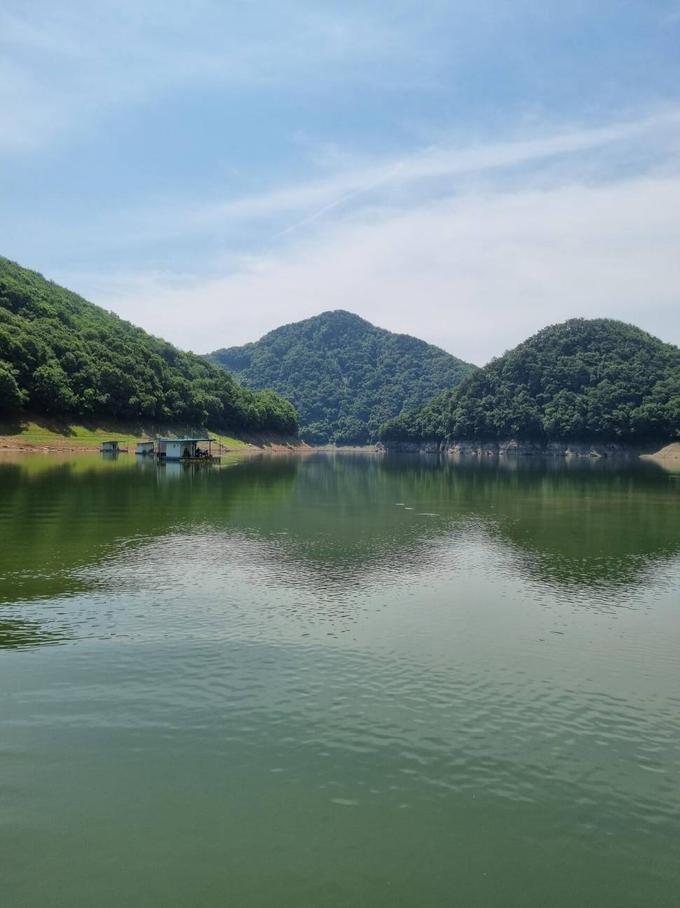 사오리 낚시터 조황정보 (조황조행기 - 충주호조황속보)