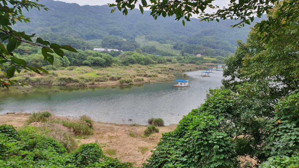 서운리 종점 낚시터입니다 (조황조행기 - 충주호조황속보)