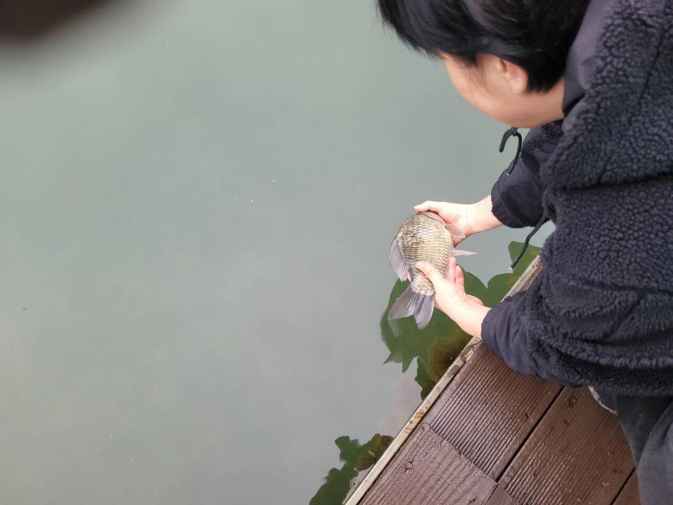 청풍 실리곡낚시터 허리급입니다 (조황조행기 - 충주호조황속보)