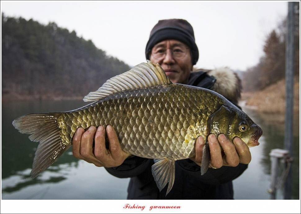 청풍신리낚시터 44cm 대물조황입니다 (조황조행기 - 충주호조황속보)