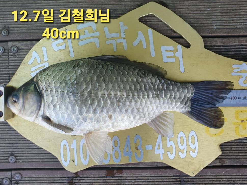 실리곡낚시터 44cm 대물 조황입니다 (조황조행기 - 충주호조황속보)