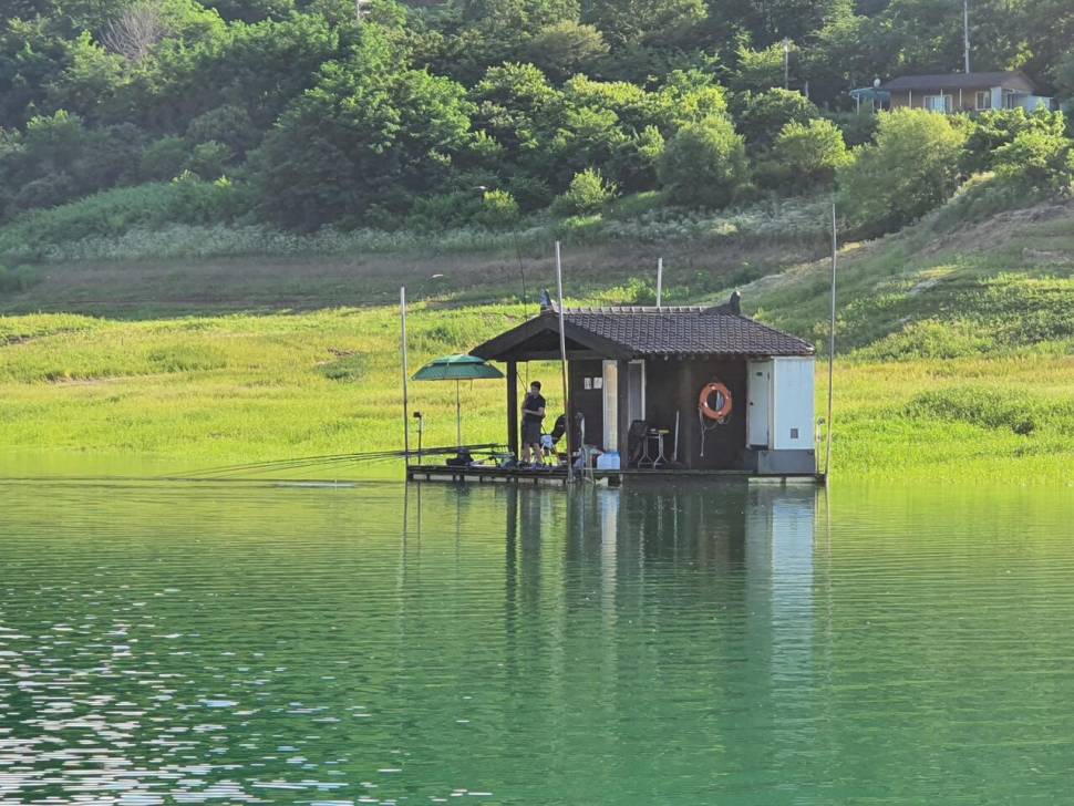 용곡 김기호 낚시터 조황정보 입니다 (조황조행기 - 충주호조황속보)
