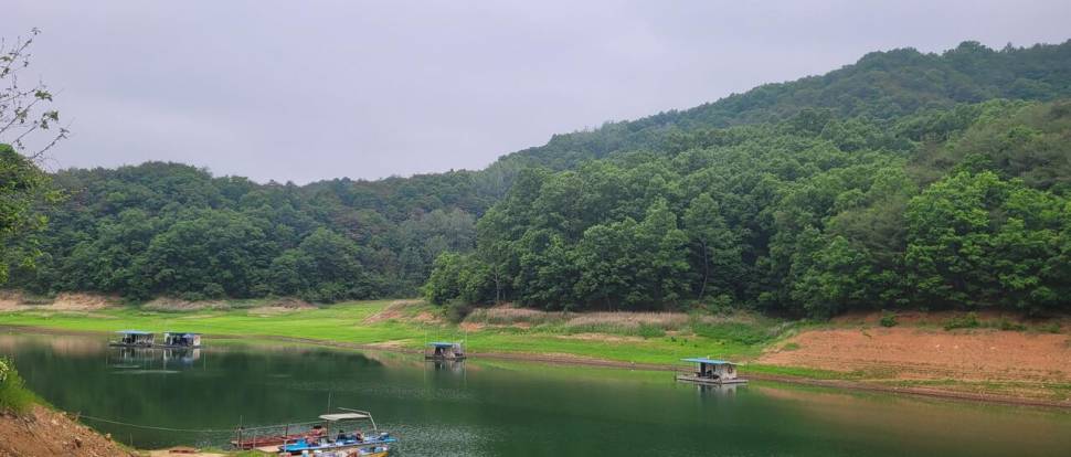 청풍 실리곡낚시터 허리급입니다 (조황조행기 - 충주호조황속보)