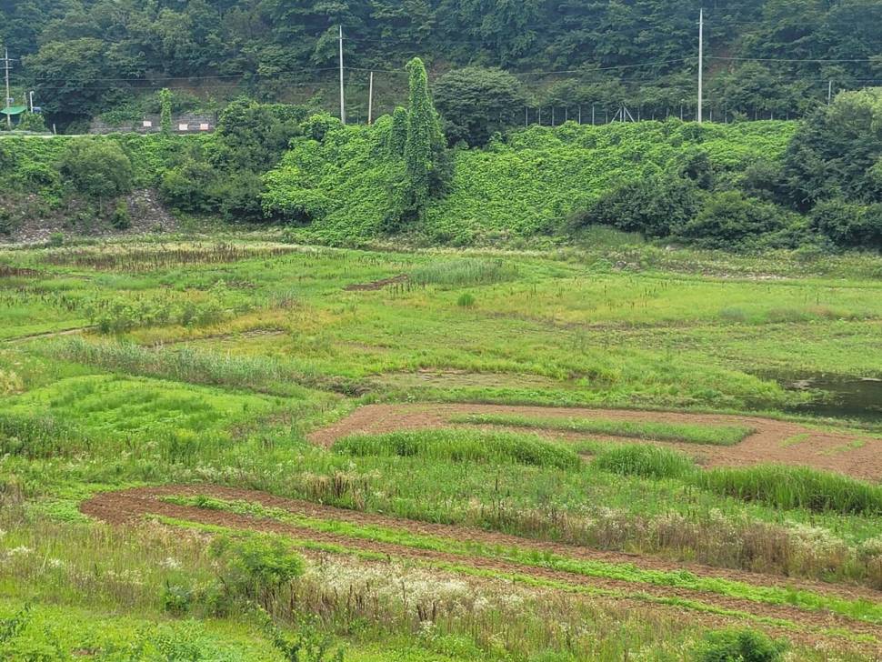 실리곡낚시터 허리급 조황입니다 (조황조행기 - 충주호조황속보)