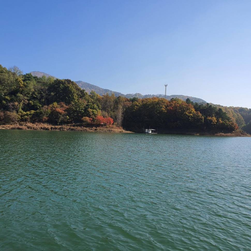 후산낚시터 조황 안내 입니다 (조황조행기 - 충주호조황속보)