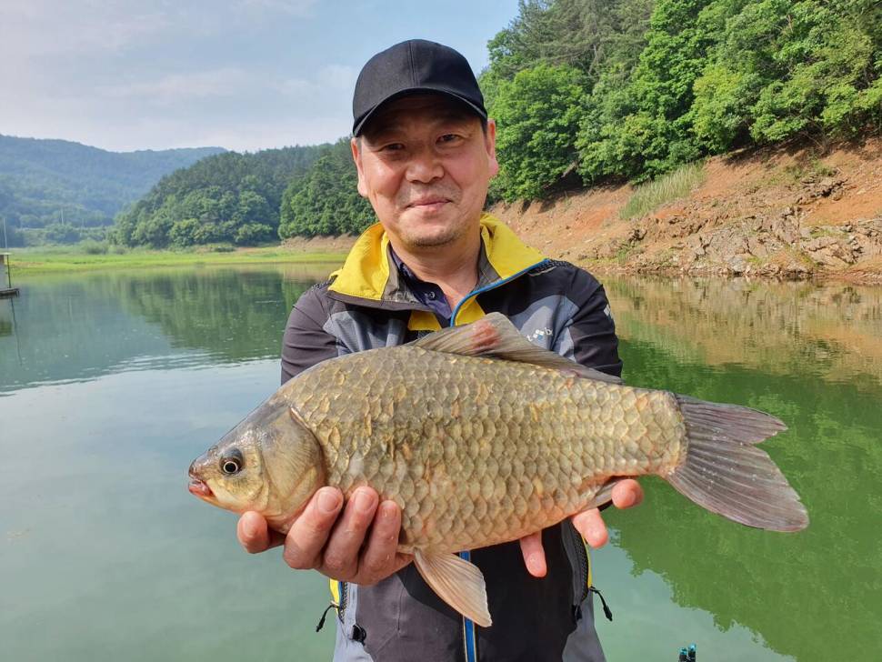 청풍신리낚시터 44cm41cm외 허리급 조황입니다 (조황조행기 - 충주호조황속보)