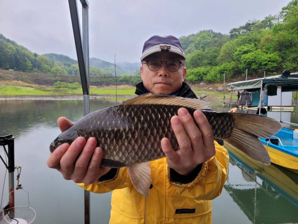 청풍 실리곡낚시터 4짜외 허리급입니다 (조황조행기 - 충주호조황속보)