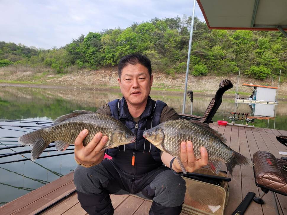 청풍 실리곡낚시터 4짜외 허리급입니다 (조황조행기 - 충주호조황속보)