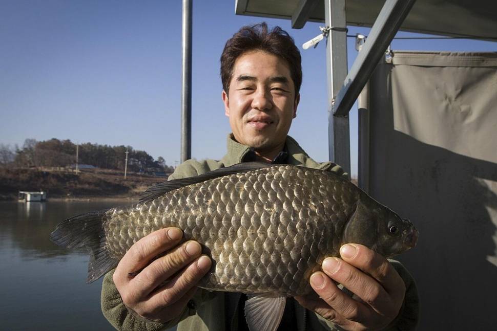 한버들 4짜 포함 허릿급 조황입니다 (조황조행기 - 충주호조황속보)