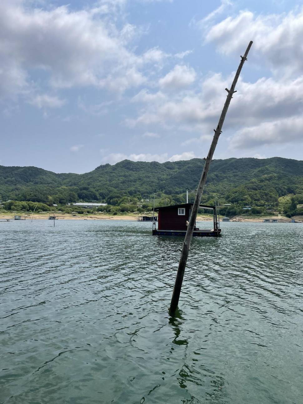 솔낚시터 조황소식입니다 (조황조행기 - 충주호조황속보)