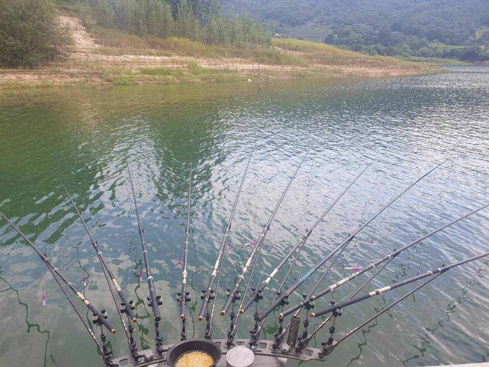 솔낚시터 조황소식 입니다 (조황조행기 - 충주호조황속보)