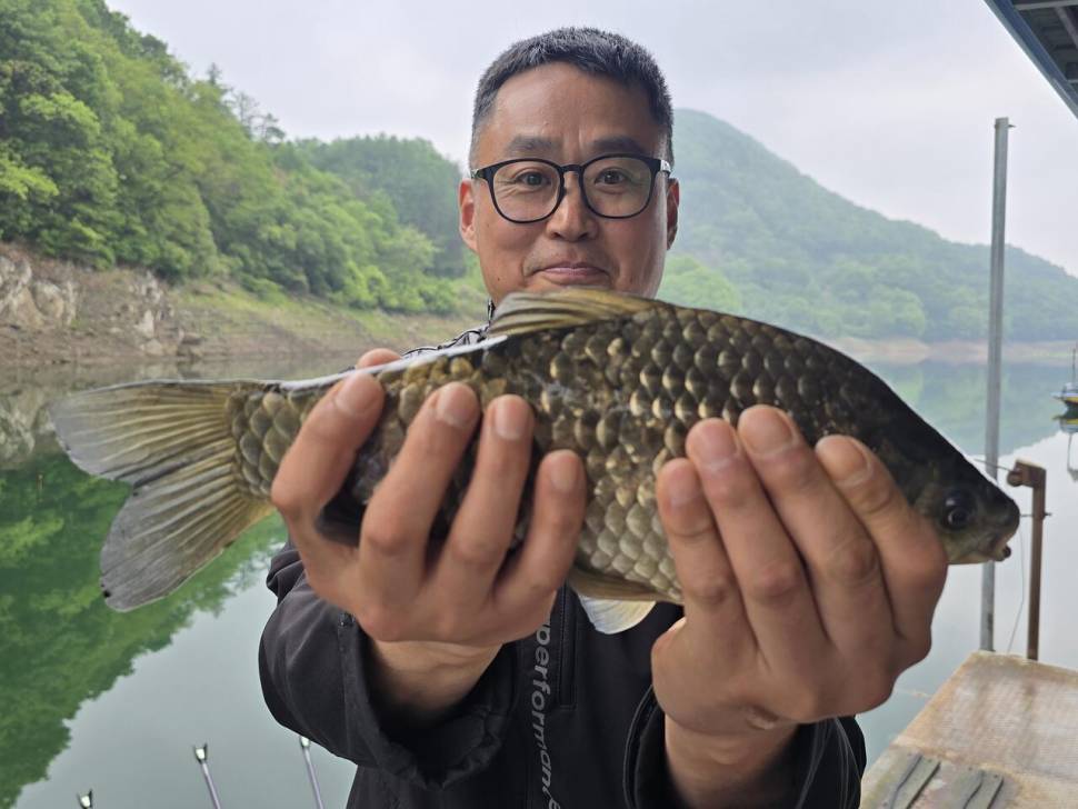 목벌 허리급월척조황정보 (조황조행기 - 충주호조황속보)