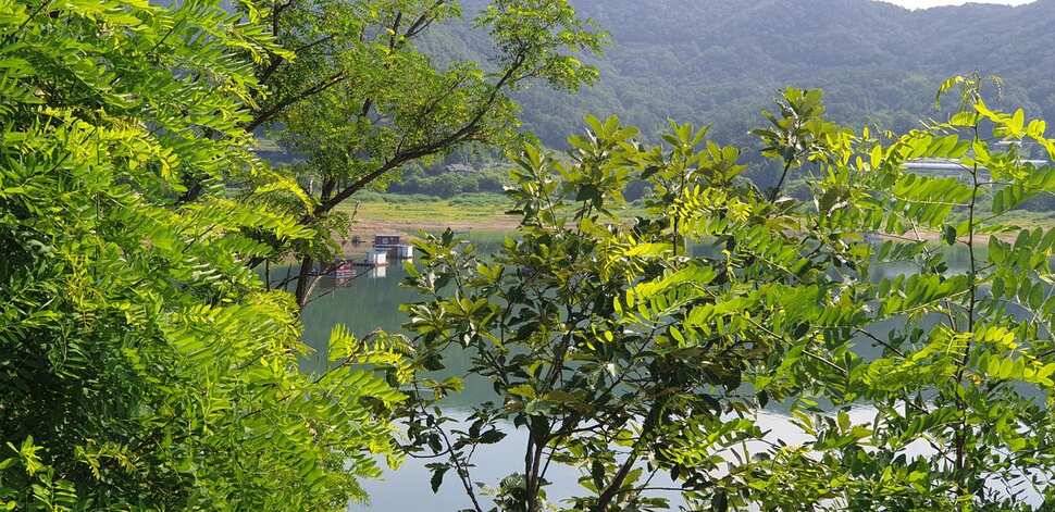 솔낚시터 조황입니다 (조황조행기 - 충주호조황속보)