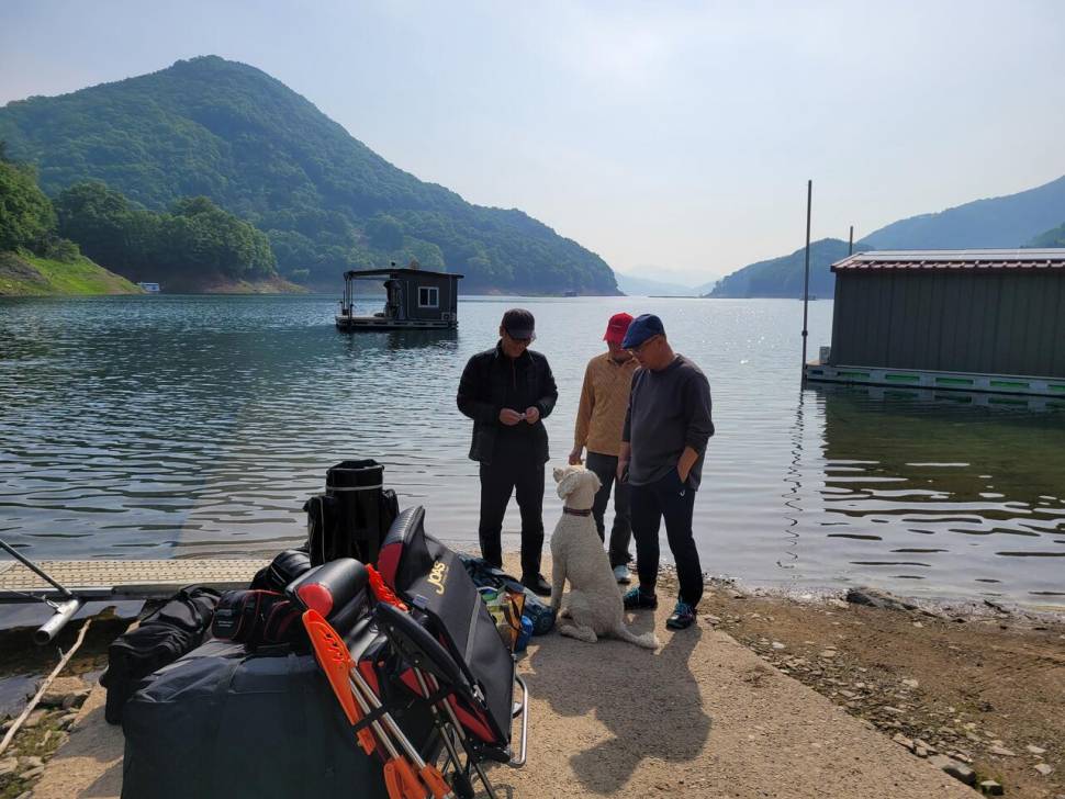 충주호목벌 조황 (조황조행기 - 충주호조황속보)