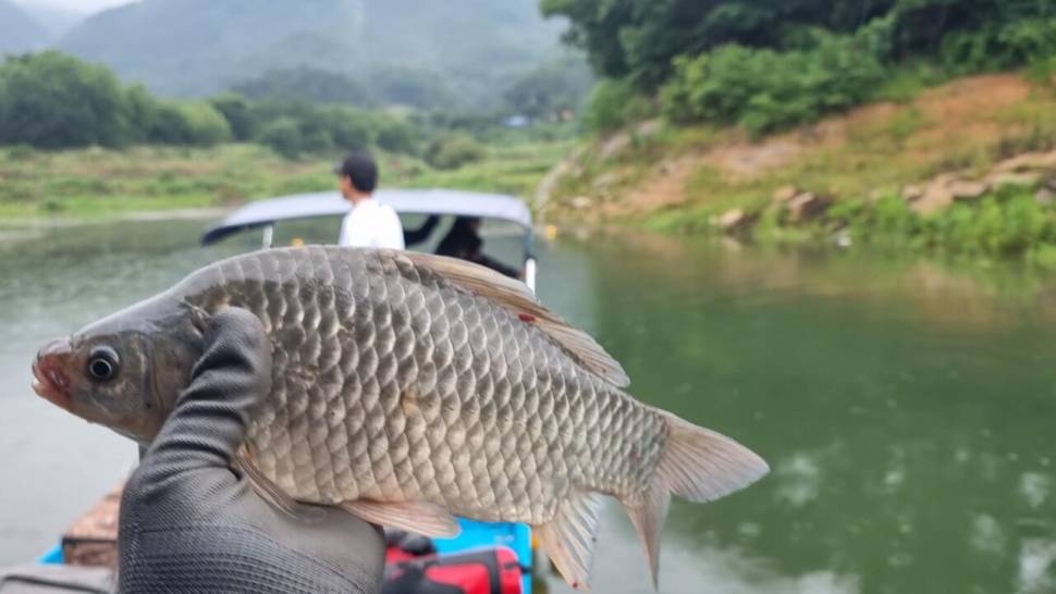 솔낚시터 조황 소식입니다 (조황조행기 - 충주호조황속보)
