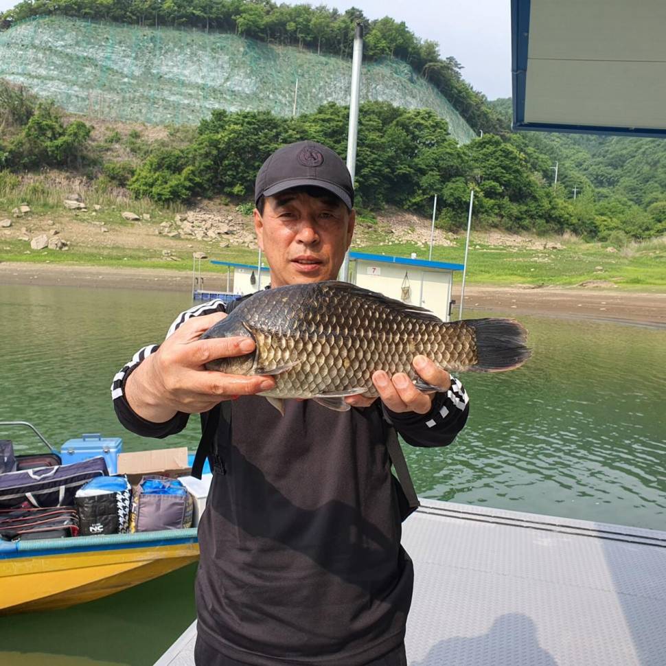 후산낚시터 조황 안내 입니다 (조황조행기 - 충주호조황속보)