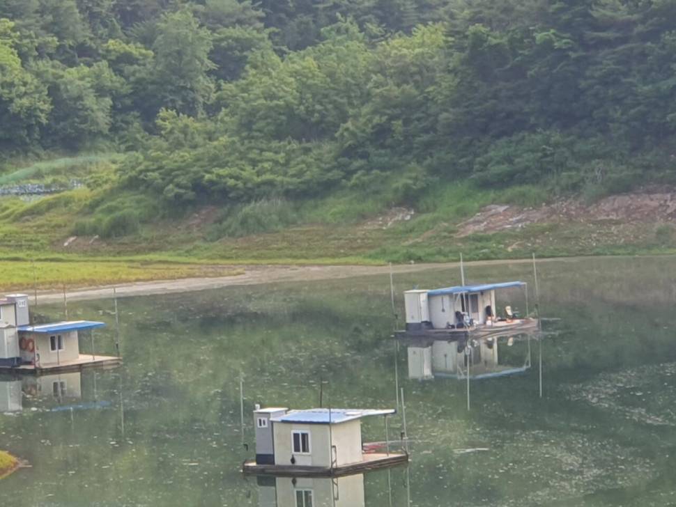 실리곡낚시터 허리급 조황입니다 (조황조행기 - 충주호조황속보)