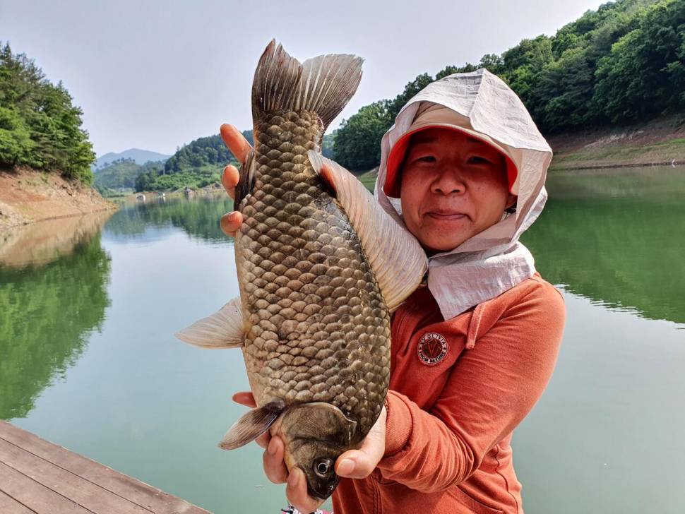 청풍신리낚시터 43cm4짜 4수 조황입니다 (조황조행기 - 충주호조황속보)