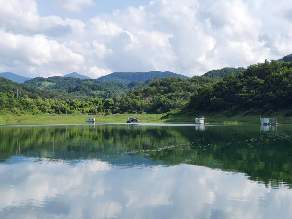 실리곡낚시터 4짜 3수 조황입니다 (조황조행기 - 충주호조황속보)