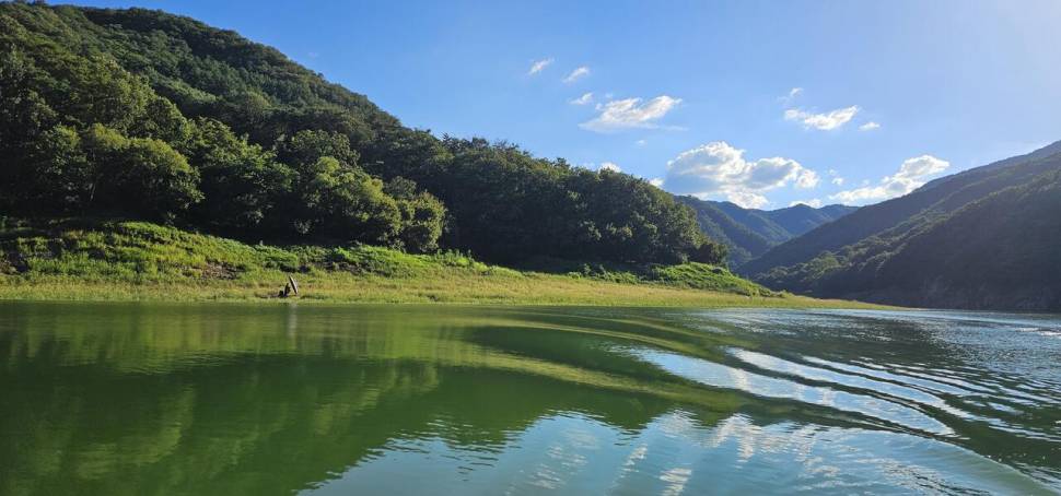 충주 명서낚시터 조황입니다 (조황조행기 - 충주호조황속보)