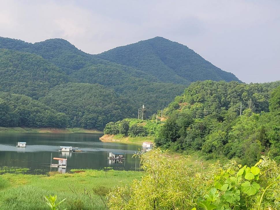 실리곡낚시터 4짜 조황입니다 (조황조행기 - 충주호조황속보)