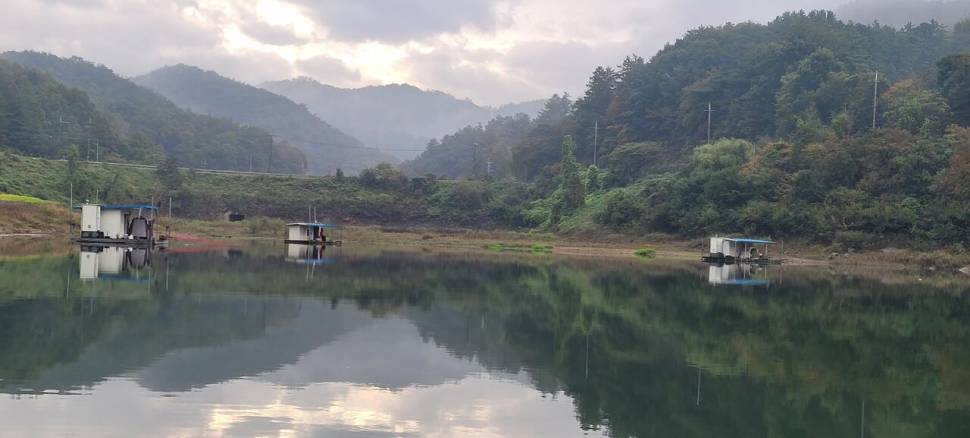 실리곡낚시터 허리급 조황입니다 (조황조행기 - 충주호조황속보)