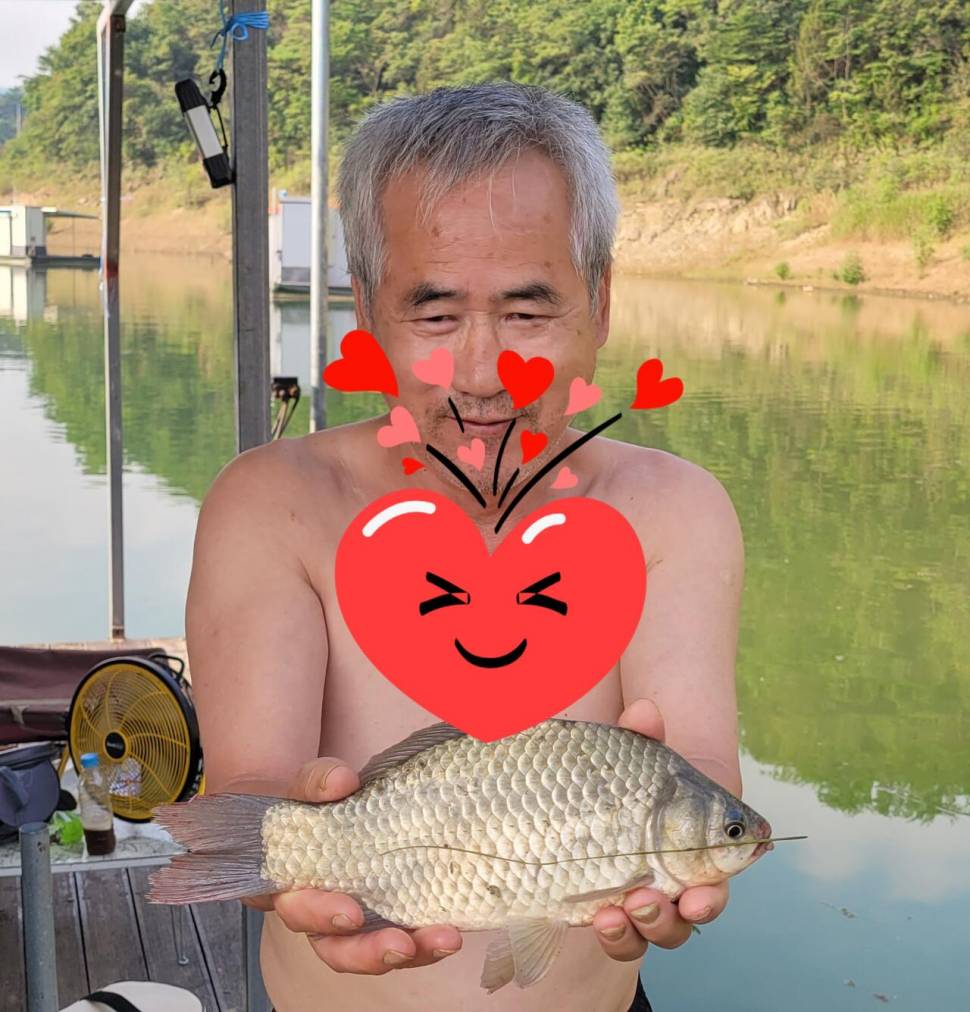 청풍 실리곡낚시터 허리급 조황입니다 (조황조행기 - 충주호조황속보)