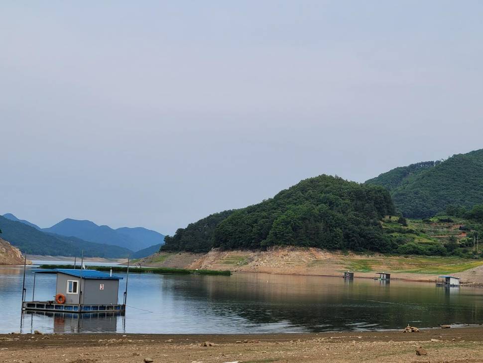 목벌조황소식입니다 (조황조행기 - 충주호조황속보)