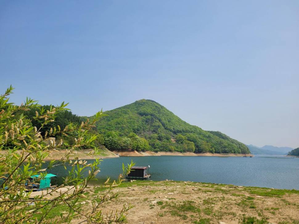 충주호목벌낚시터산란 (조황조행기 - 충주호조황속보)