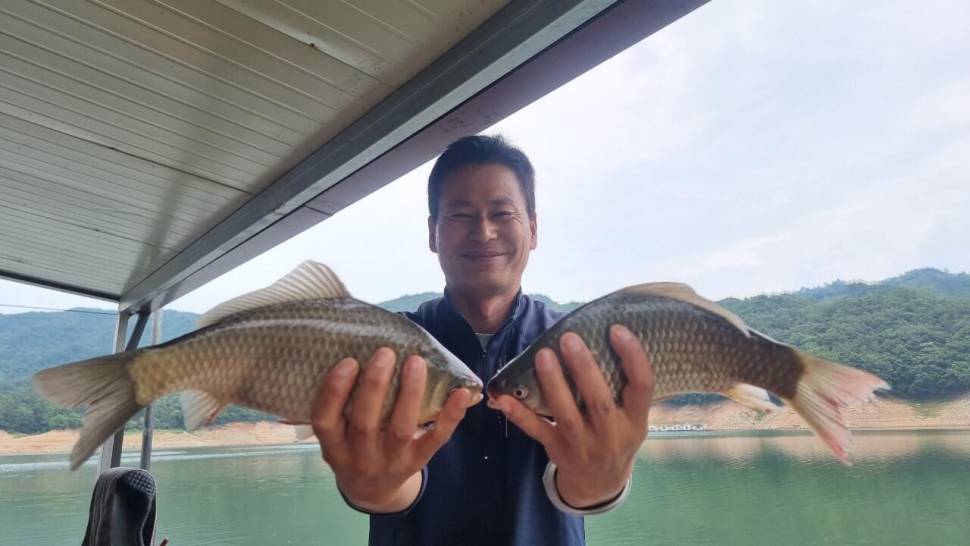 솔낚시터 조황 소식입니다 (조황조행기 - 충주호조황속보)