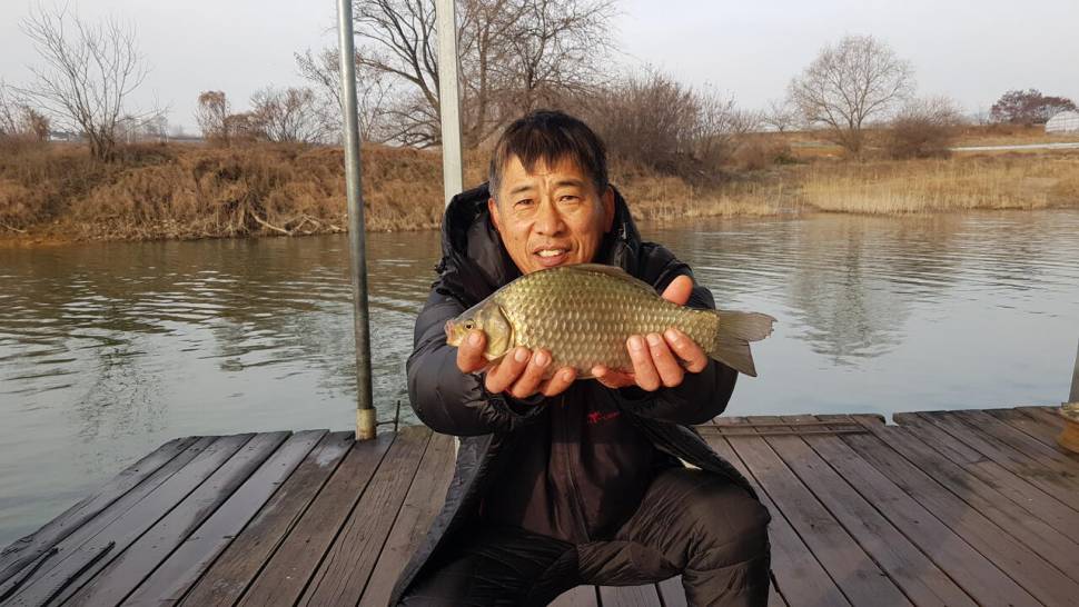 청풍호 한버들 조황입니다 (조황조행기 - 충주호조황속보)