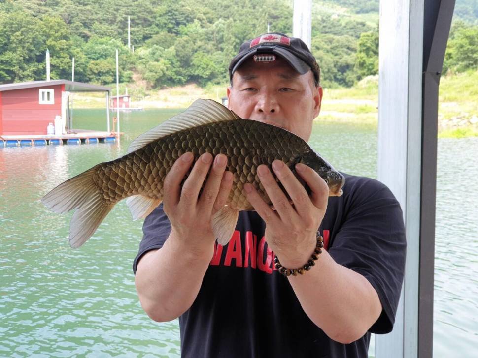 솔낚시터 오름수위 조황소식 전합니다 (조황조행기 - 충주호조황속보)