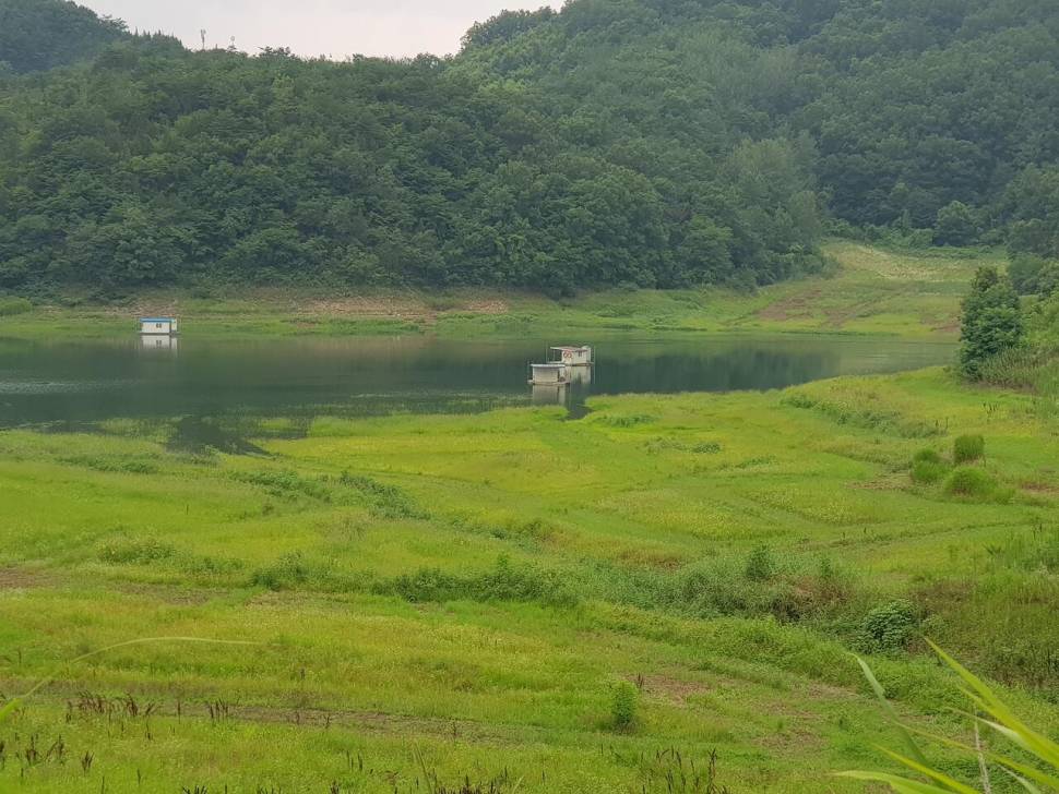 실리곡낚시터 조황입니다 (조황조행기 - 충주호조황속보)
