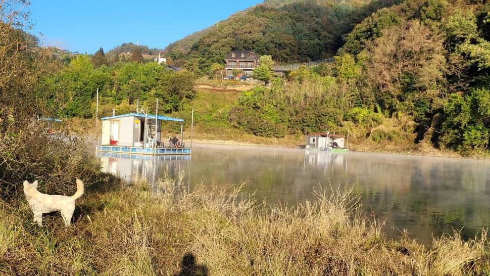주말조황 (조황조행기 - 충주호조황속보)