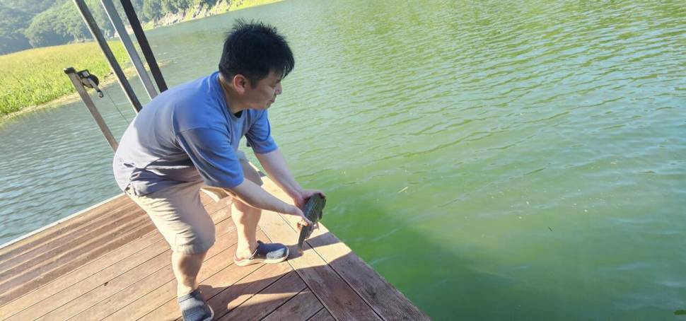 충주 명서낚시터 조황입니다 (조황조행기 - 충주호조황속보)