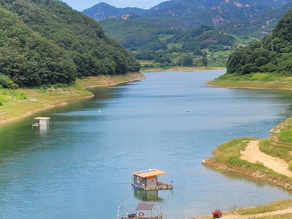 청풍 실리곡낚시터 조황입니다 (조황조행기 - 충주호조황속보)