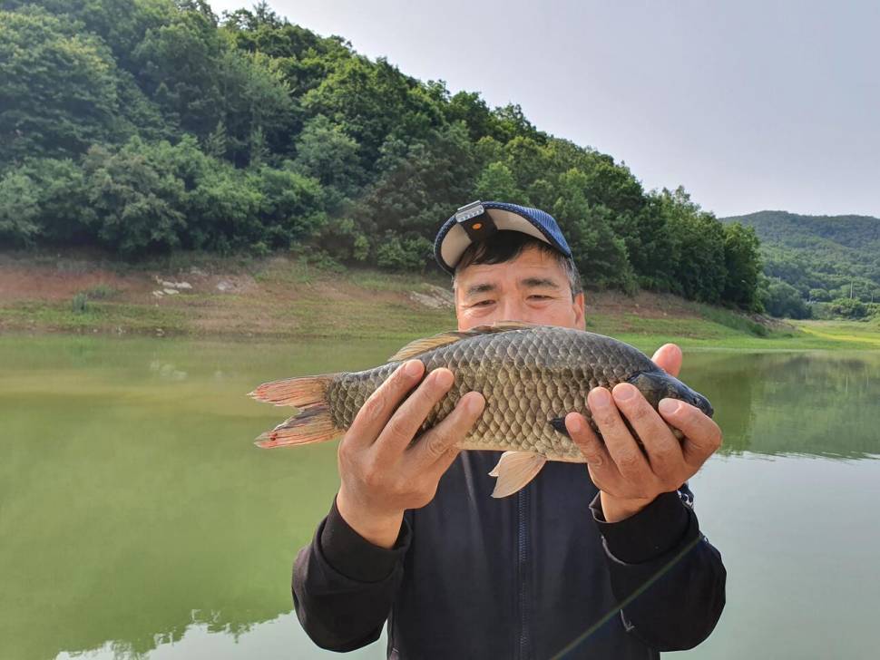 청풍신리낚시터 43cm4짜 4수 조황입니다 (조황조행기 - 충주호조황속보)