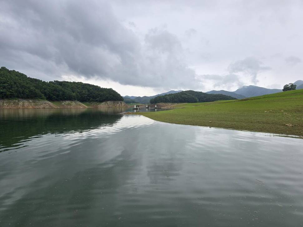 청풍 한버들 조황입니다 (조황조행기 - 충주호조황속보)