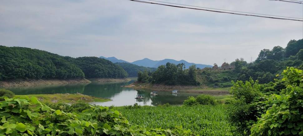 청풍신리낚시터 허리급조황입니다 (조황조행기 - 충주호조황속보)