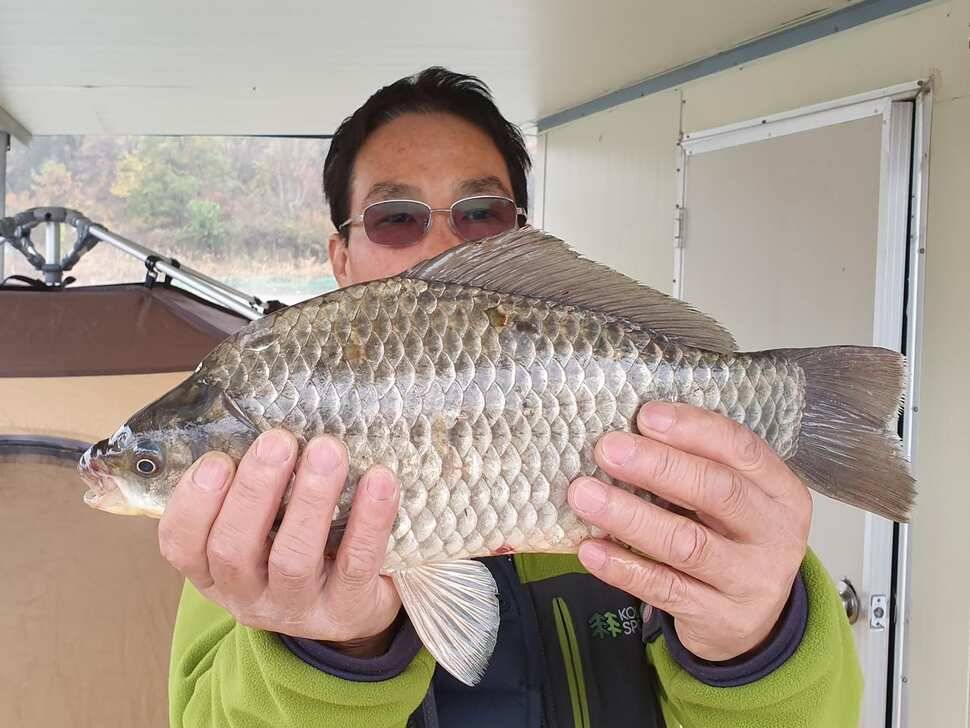 실리곡낚시터 4짜365cm 조황입니다 (조황조행기 - 충주호조황속보)